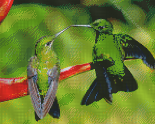 Green Hummingbird Couple Diamond Painting