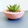 Little Pink Succulent Pot Diamond Painting