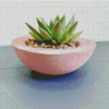 Little Pink Succulent Pot Diamond Painting