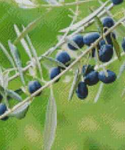 Olive Tree Diamond Painting