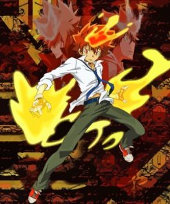 Reborn Tsunayoshi Sawada Diamond Painting