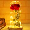 Red Rose In Bottle Diamond Painting