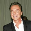 The American Actor David Cassidy Diamond Painting