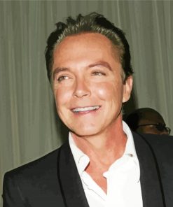 The American Actor David Cassidy Diamond Painting