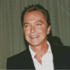 The American Actor David Cassidy Diamond Painting