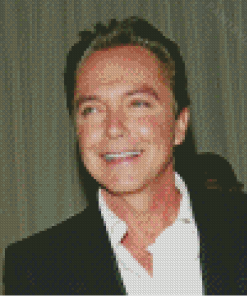 The American Actor David Cassidy Diamond Painting