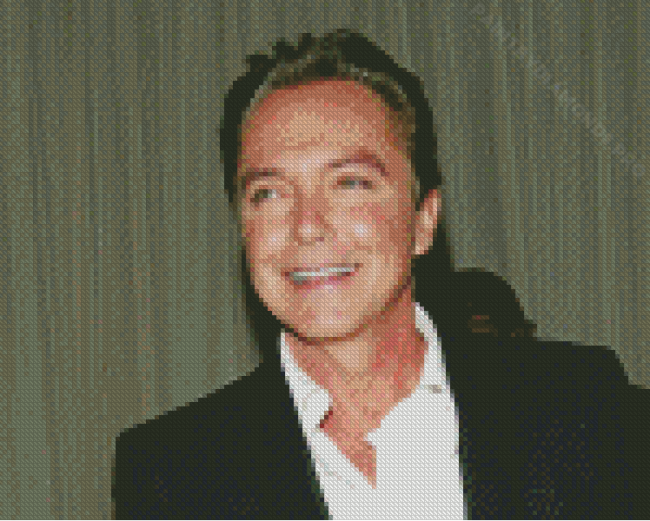 The American Actor David Cassidy Diamond Painting