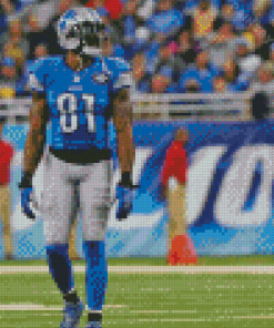 The Footballer Calvin Johnson Diamond Painting