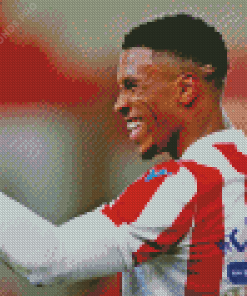 Tyrese Campbell Stoke Diamond Painting