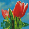 Water And Red Tulips Flowers Diamond Painting