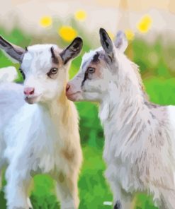 White Baby Goats Diamond Painting