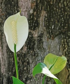 White Flamingo Flower Diamond Painting