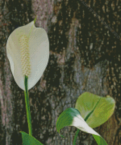 White Flamingo Flower Diamond Painting