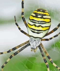 Yellow Garden Spider Toronto Diamond Painting