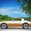 1977 Firebird Diamond Painting