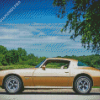 1977 Firebird Diamond Painting