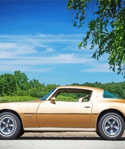 1977 Firebird Diamond Painting