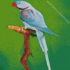 Alexandrine Parrot Diamond Painting