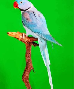 Alexandrine Parrot Diamond Painting