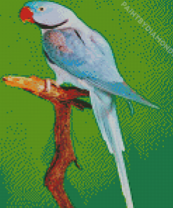 Alexandrine Parrot Diamond Painting