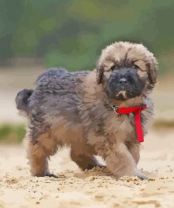 Beige Bouvier Des Flandres Puppy Diamond Painting