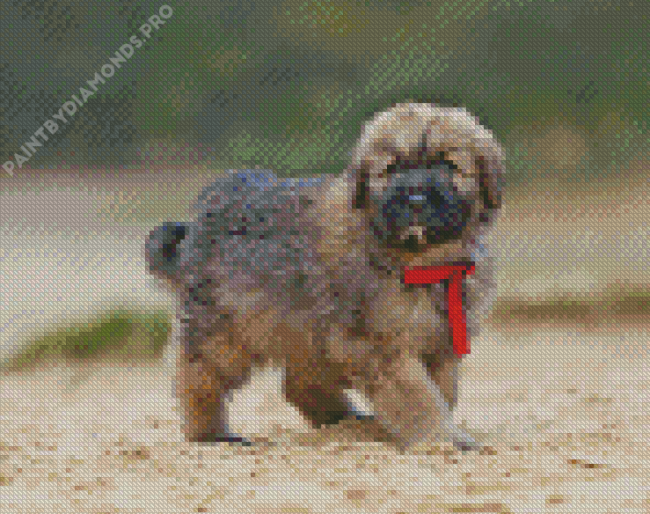 Beige Bouvier Des Flandres Puppy Diamond Painting