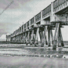 Black And White Jacksonville Pier Diamond Painting