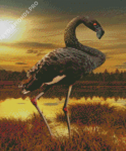 Black Flamingo Diamond Painting