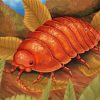 Brown Isopod Art Diamond Painting