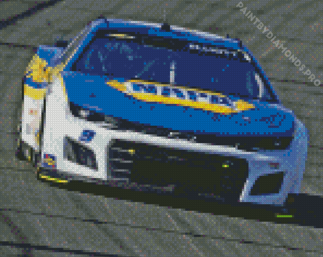 Chase Elliott Race Car Driver Diamond Painting