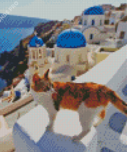 Cute Cat In Greece Diamond Painting