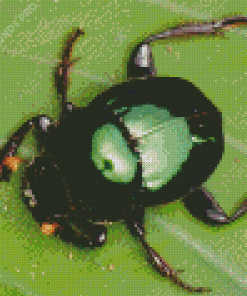 Green Scarab Diamond Painting