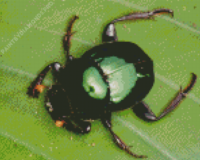 Green Scarab Diamond Painting