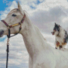 Horse With Mini Aussie Diamond Painting