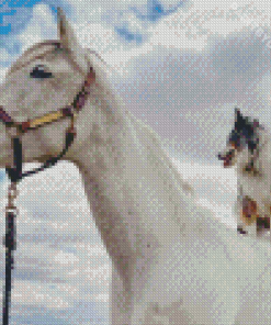 Horse With Mini Aussie Diamond Painting