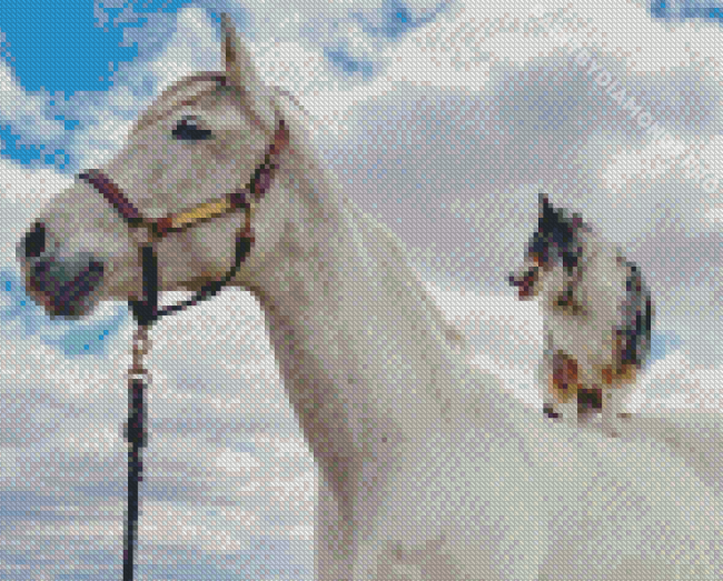 Horse With Mini Aussie Diamond Painting