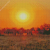 Kalahari Desert At Sunrise With Zebra Landscape Diamond Painting