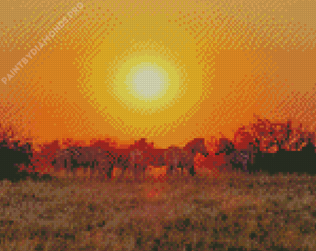 Kalahari Desert At Sunrise With Zebra Landscape Diamond Painting