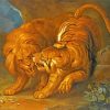 Lion And Tiger Fight Diamond Painting