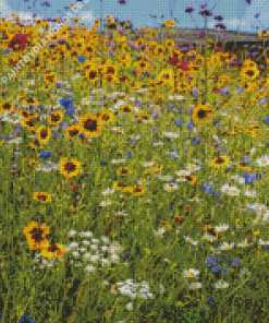 Meadow With Flowers Diamond Painting