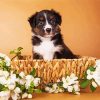 Mini Aussie In A Basket Diamond Painting