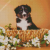 Mini Aussie In A Basket Diamond Painting