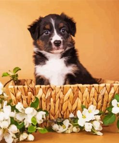 Mini Aussie In A Basket Diamond Painting