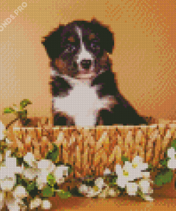 Mini Aussie In A Basket Diamond Painting