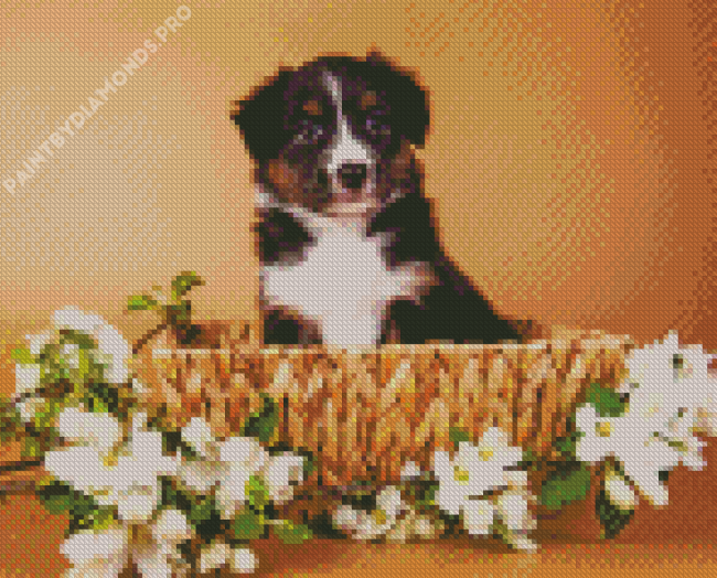 Mini Aussie In A Basket Diamond Painting