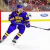 Minnesota State Hockey Player Diamond Painting