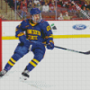 Minnesota State Hockey Player Diamond Painting