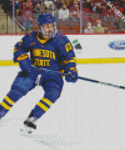 Minnesota State Hockey Player Diamond Painting