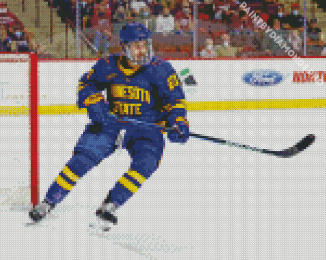 Minnesota State Hockey Player Diamond Painting