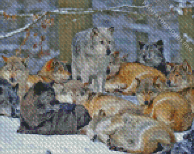 Pack Of Wolves Diamond Painting